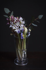 Close-up of hyacinths and eucalyptus branch in a glass cup on a dark background, selective focus