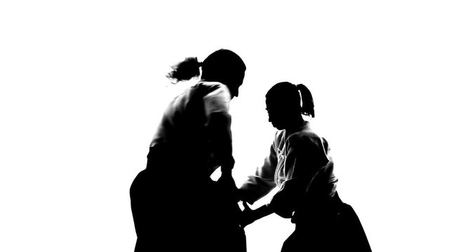 Black silhuettes of man and woman showing aikido techniques. Isolated on white. Slow motion. Close up.