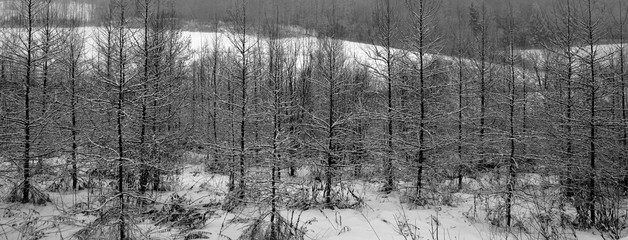 Late fall, early winter landscape in Bromont, Eastern township  Quebec, Canada