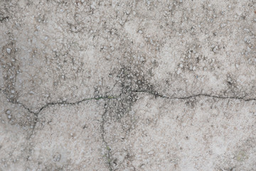 Macro White Stone