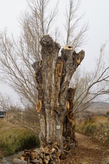 navarrete del rio calamocha teruel aragon españa