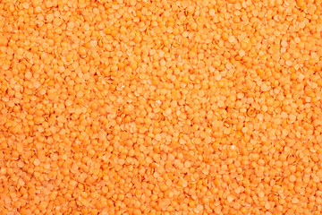 Dry raw red lentils, top view