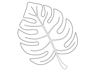 Big juicy bright green leaf of a monstera - a tropical plant. Monstera creeper leaf - vector linear picture for coloring. Outline. Hand drawing. © Hanna