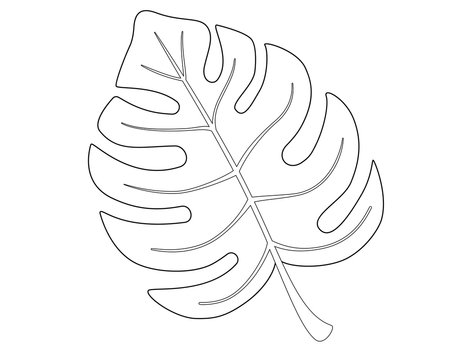 Monstera Leaf Outline Images – Browse 10,757 Stock Photos, Vectors, and  Video | Adobe Stock