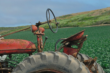 Old tractor in the fields of central California.