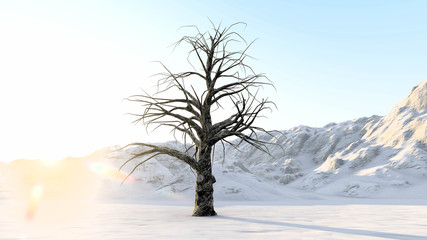 Trees at Winter With Sunset 3D Rendering