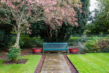 Wooden park bench in a garden park setting with pink blooms and lush green grass