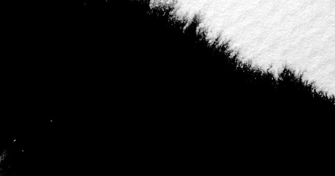 Black ink track matte reveal transition on white