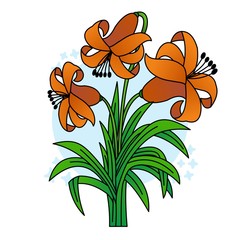 Illustration of Beautiful Orange Flower, Flat Design