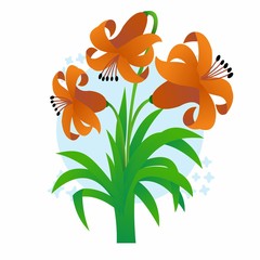 Illustration of Beautiful Orange Flower, Flat Design