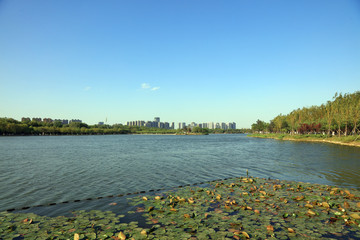 Waterfront city architecture scenery