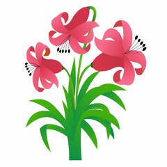 Illustration of Beautiful Pink Flower, Flat Design