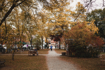 people walking in park