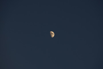 The moon