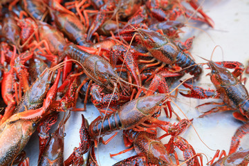 Fresh crayfish on the market