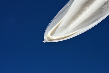 コウイカの甲、青空、光、水、雫、素材