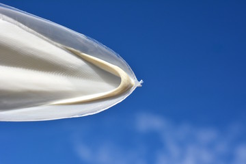 コウイカの甲、青空、光、水、雫、素材