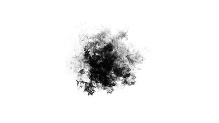 Black and White fire embers on isolated background. Explosion burn flame texture overlays for text or copyspace. Design element.