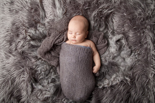 Baby boy in newborn photography nest, 