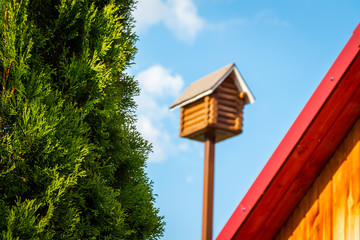 A wooden log birdhouse close-up against a blue sky.