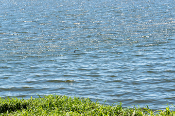  Cityscape in the city of Osorio brazil