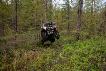 The quad bike jumps over the log in summer