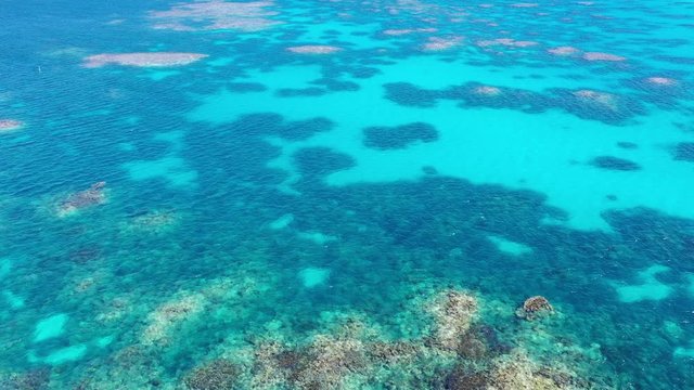 Aerial footage of coral reef 