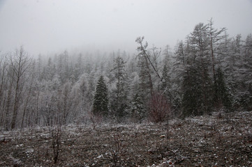 Mountain landscapes of the nature of the Russian Far East