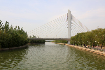 Cable-stayed bridge across the river