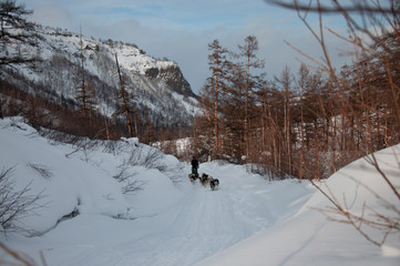 Traveling, outdoor activities and dog sledding in Kamchatka