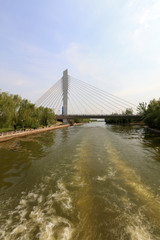 Cable-stayed bridge across the river