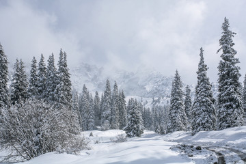 Fototapeta premium Allphotokz Tuyuk-Su 20060410 9156 5D