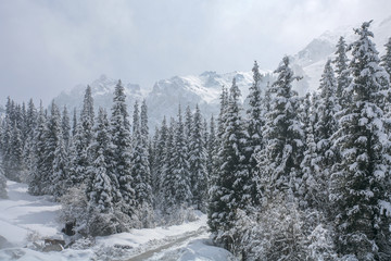 Allphotokz Tuyuk-Su 20060410 9170 5D