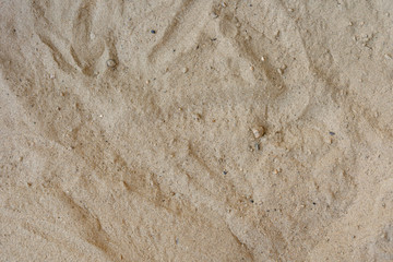 Beach sand texture background closeup