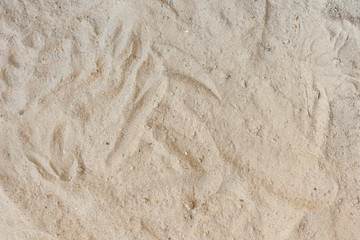 Beach sand texture background closeup