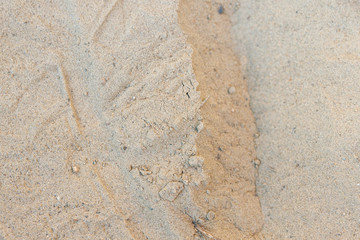 Beach sand texture background closeup