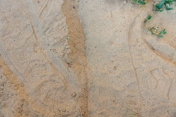 Beach sand texture background closeup