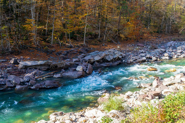 Fototapeta na wymiar Clean mountain river in the autumn forest.