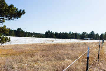 Winter pasture on the Colorado prairie