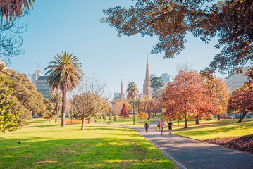 Fitzroy gardens at autumn seasons. Long shot of St Patrick's Cathedral from Fitzroy Gardens.