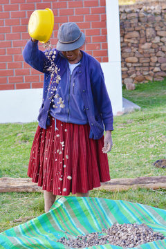Old age woman works with chuno in the countryside.