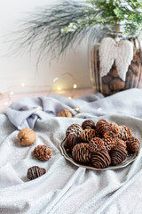 Brown new year pine cons on silver plate. Christmas home decoration. New Year Christmas greeting card. 