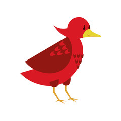 cute little bird animal character