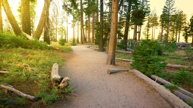 Hiking trail leading to Rainbow Falls in the Ansel Adams Wilderness near Mammoth Lakes California USA