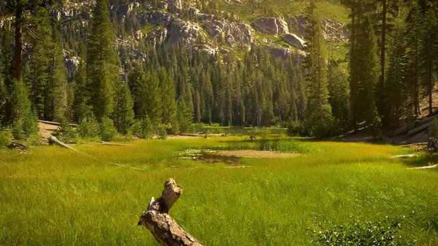 Sotcher Lake in the Ansel Adams Wilderness near Mammoth Lakes California USA