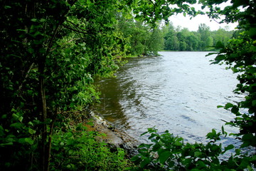 Obraz premium River Daugava near the town of Staburags, Sunny Day, big wind and wawes.Latvia