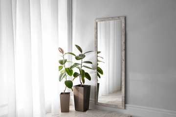 Large mirror and plants near window in light room
