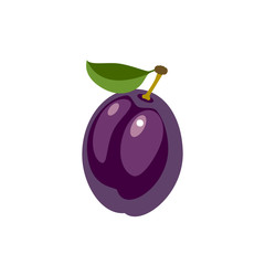 Violet plum, whole fruit. Vector illustration cartoon flat icon isolated on white.