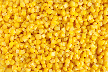 Delicious canned corn kernels as background, top view