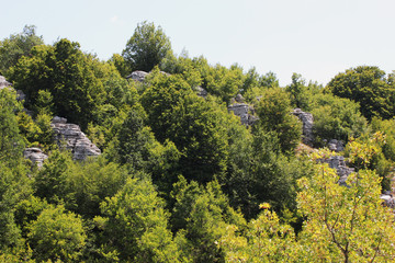 Obraz premium Stone forest natural rock formation Monodendri Zagori Greece